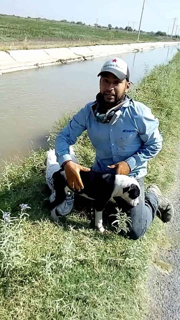 chien piégé canal remercie homme sauvé