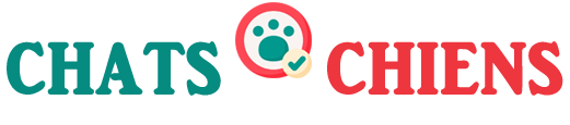 Chats et Chiens