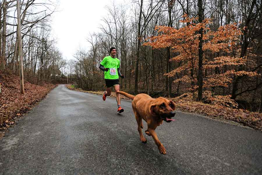 Ludivine chien court demi marathon et termine 7ème