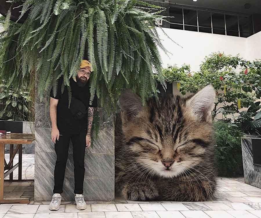chats plus grands Andrey Scherbak
