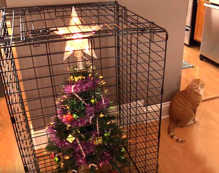 moyen protéger arbre Noël chats chiens