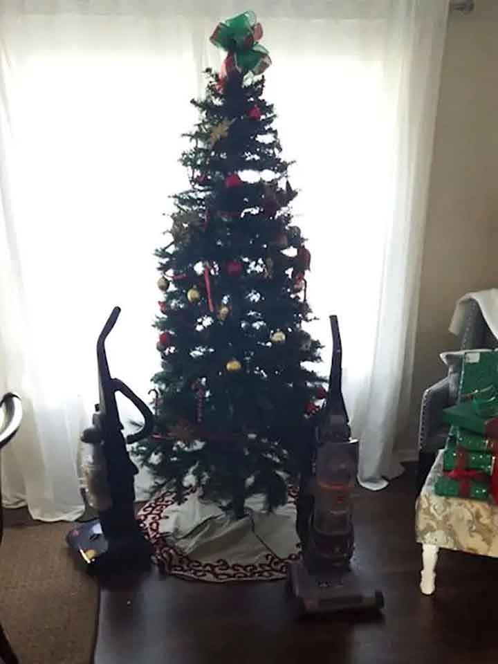 moyen protéger arbre Noël chats chiens