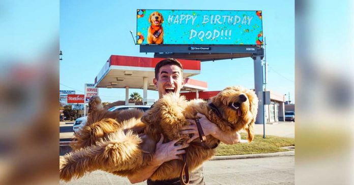 homme loue un panneau publicitaire savoir anniversaire chien