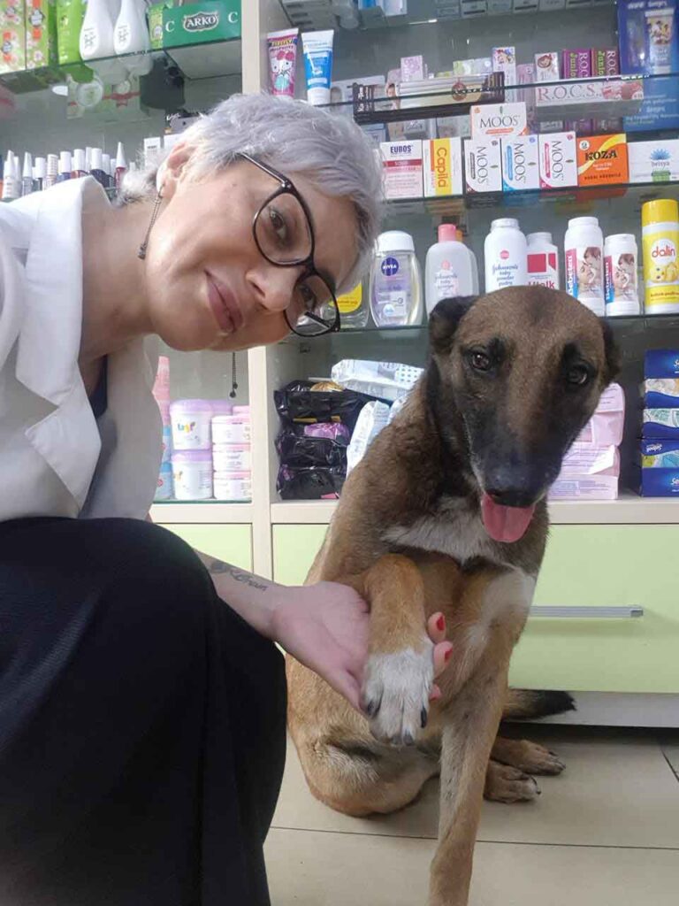 Banu Cengiz chien errant Remède pharmacie