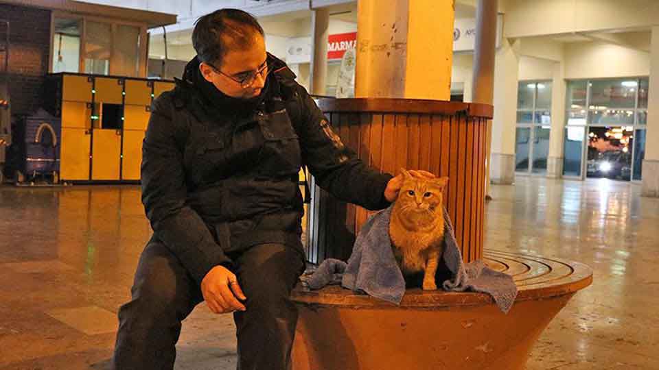 Yurtseven dentiste passe temps libre chiens chats  hiver