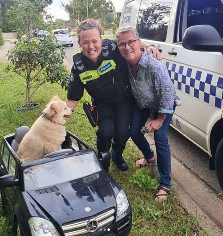 chien volant voiturette police