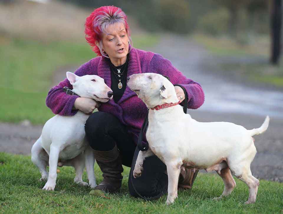 Liz Haslam femme choisit chiens sauvés