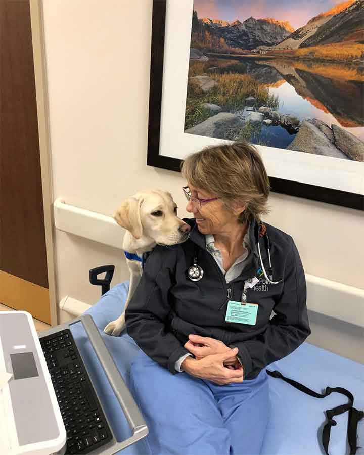 Wynn chien thérapie aide médecins COVID-19