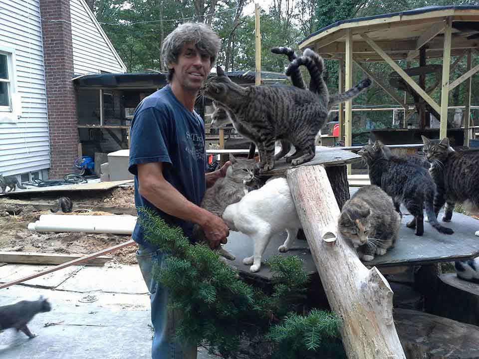 Chris Arsenault homme crée sanctuaire chats
