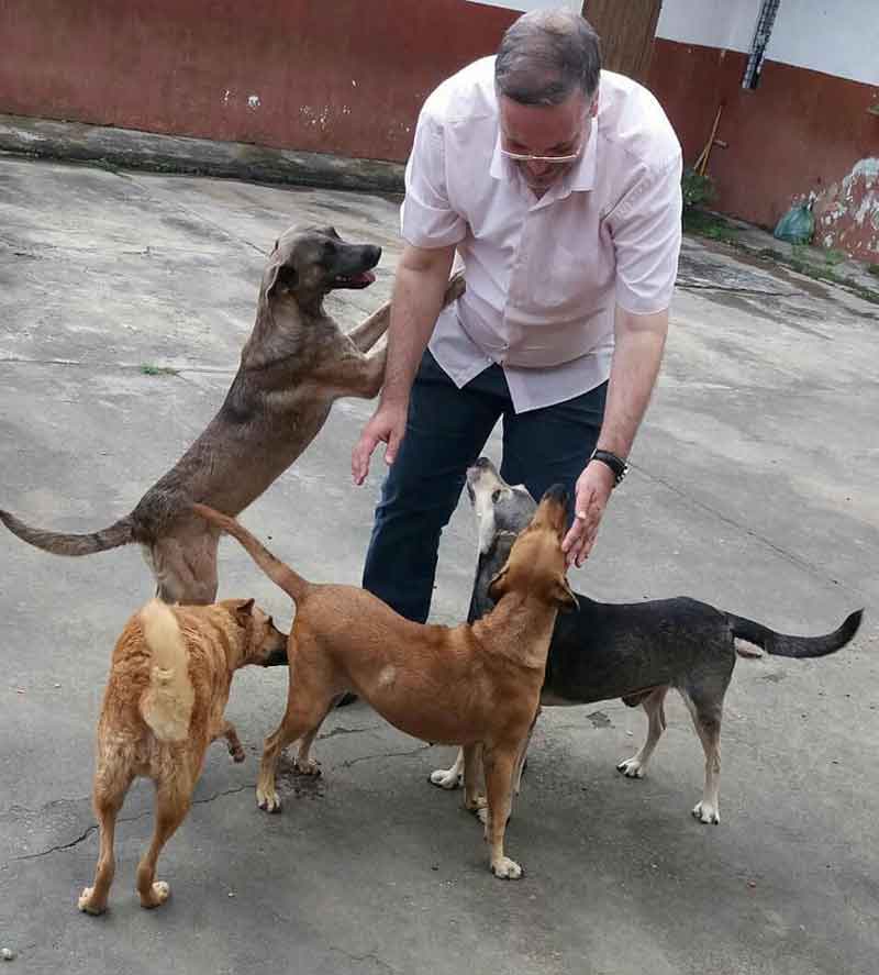 prêtre João Paulo Gomes apporte chiens errants messe
