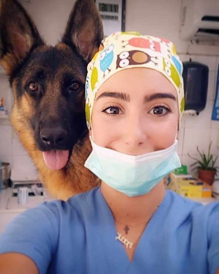 Moallem vétérinaire libanaise conduit clinique mobile