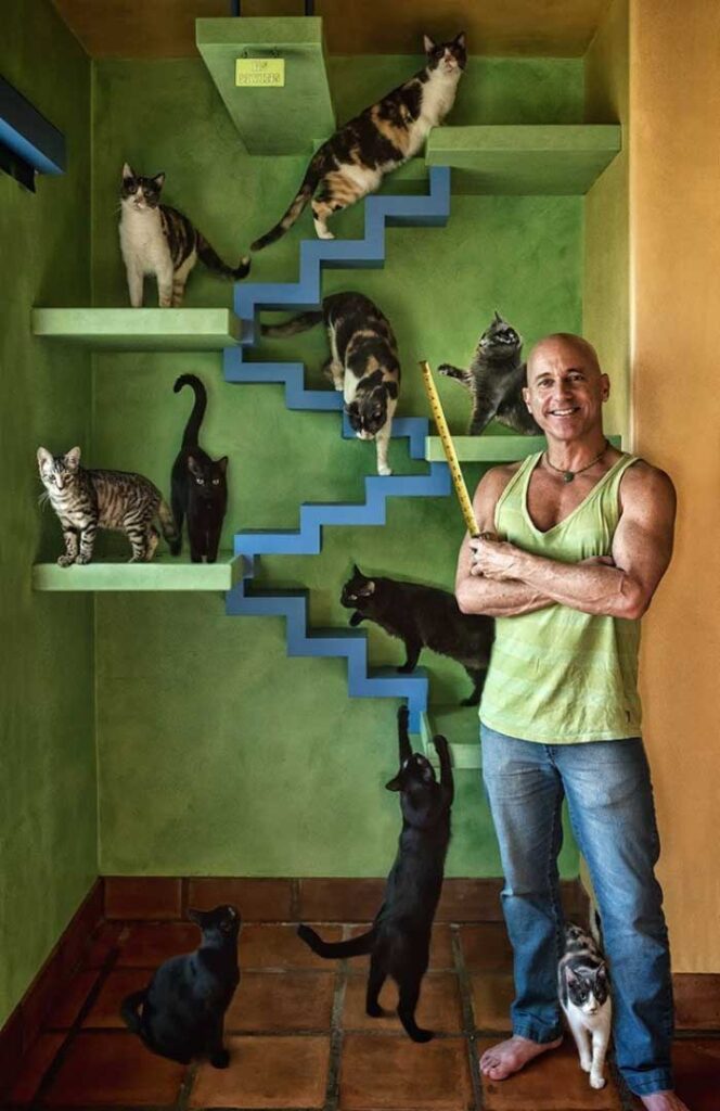 Peter Cohen homme maison chat paradis