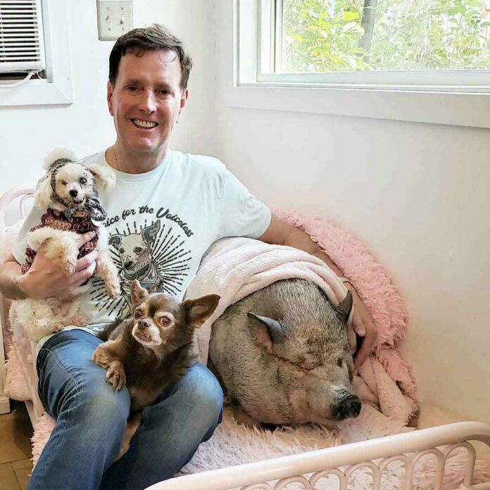 Un homme en deuil de la perte de son chien va à l'abri et adopte tous