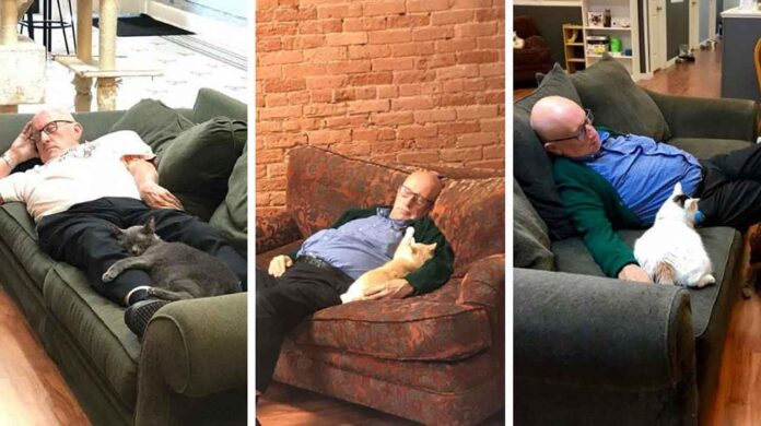 bénévole 75 ans refuge sieste chats Terry Lauerman