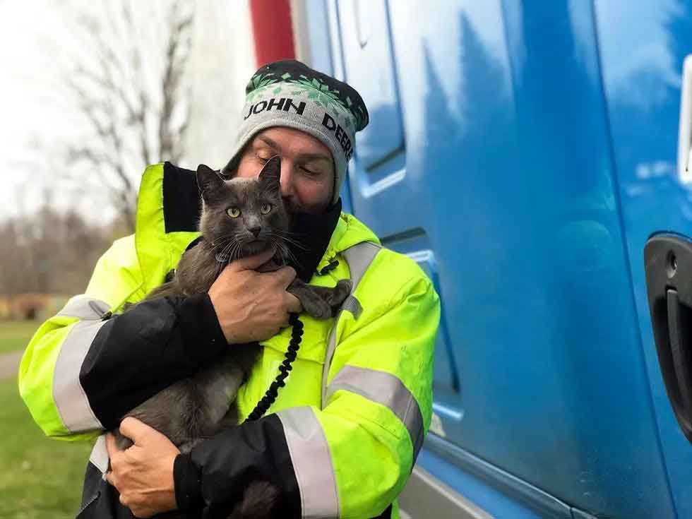 chauffeur camion pleure chat retour apres mois recherche
