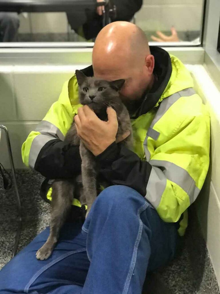 chauffeur camion pleure chat retour apres mois recherche