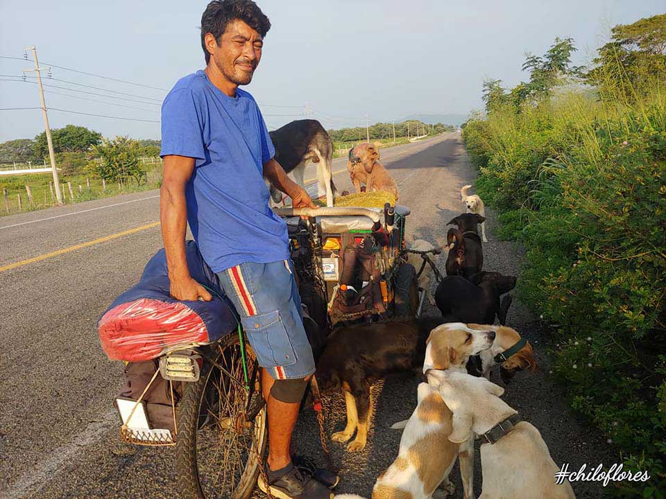 Edgardo marche dans les rues pour sauver des chiens