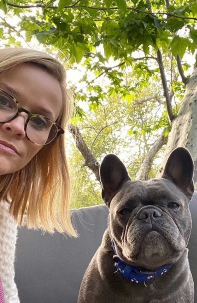 Reese Witherspoon chien Pepper