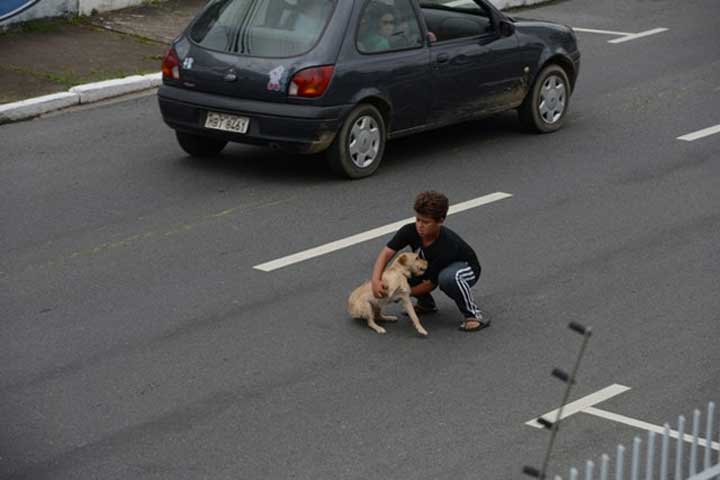 Jean Fernandes Garçon arrête circulation secourir chien accidenté