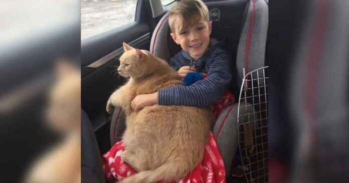 Sa maman lui a permis de choisir un chat