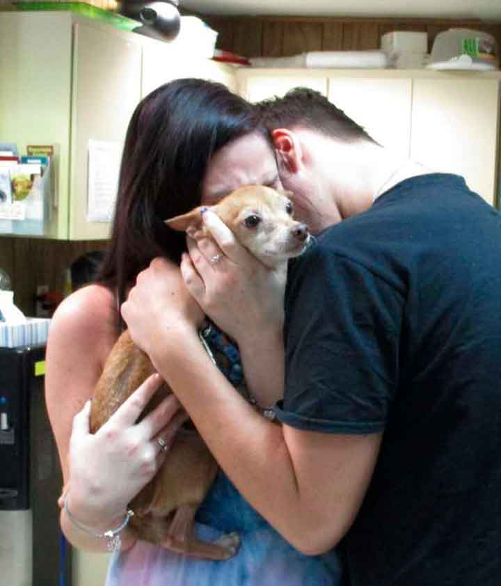 Alex chien retrouve famille après 6 ans