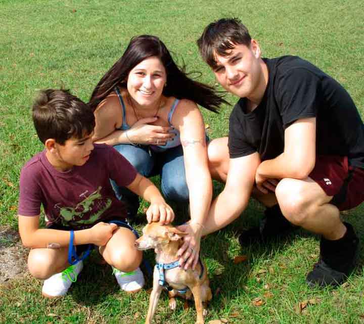 Alex chien retrouve famille après 6 ans