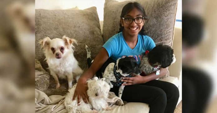 Meena Kumar fille adoptée aide chiens âgés