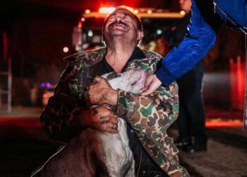 Un homme a tout perdu sauf chien