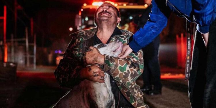 Un homme a tout perdu sauf chien