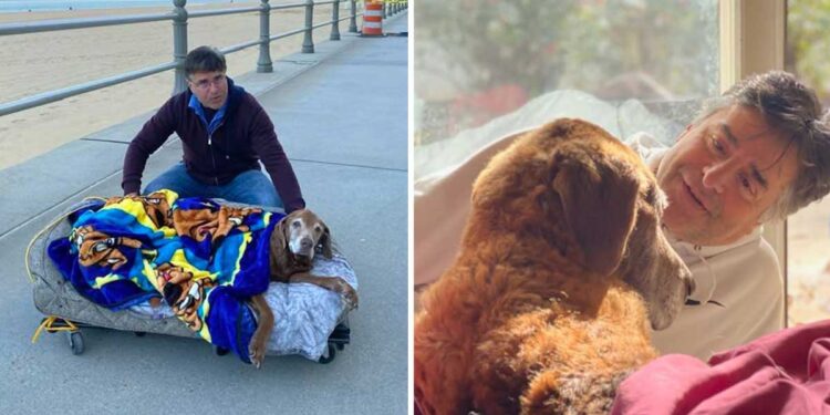 un homme construit lit mobile chien 16 ans