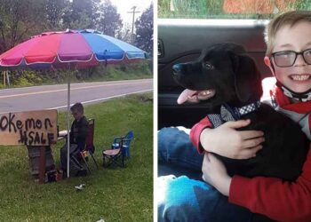 Ce garçon vend sa collection précieuse de cartes Pokémon pour payer le traitement de son chien malade