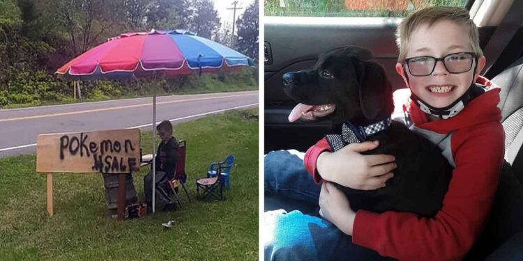 Ce garçon vend sa collection précieuse de cartes Pokémon pour payer le traitement de son chien malade