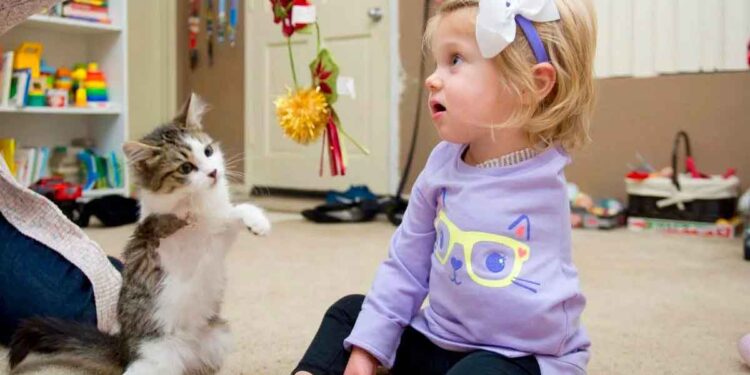 Une fille qui a perdu un bras adopte un chaton avec un membre manquant 1 fille bras perdu adopte chaton membre manquant