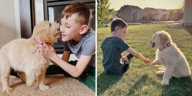 garçon différence membre adopte chien semblable