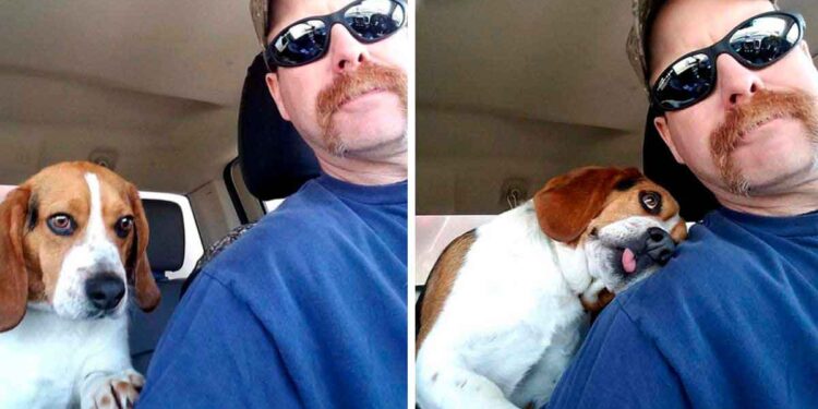 Un homme sauve un beagle d'être euthanasié dans un refuge et le remercie d'un câlin 1 homme sauve chiot beagle euthanasié câlin