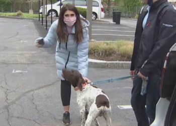 juliana mazza chien volé voleur capturé