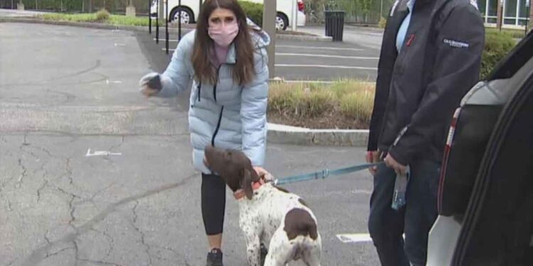 juliana mazza chien volé voleur capturé