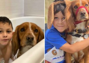 leon enfant autiste parler chien fern