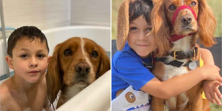 Leon, l'enfant autiste qui a appris à communiquer grâce à l'amour d'un chien 1 leon enfant autiste parler chien fern