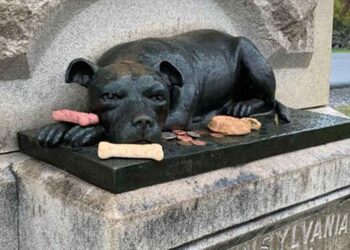 monument de ce chien héroïque Sallie Ann Jarrett