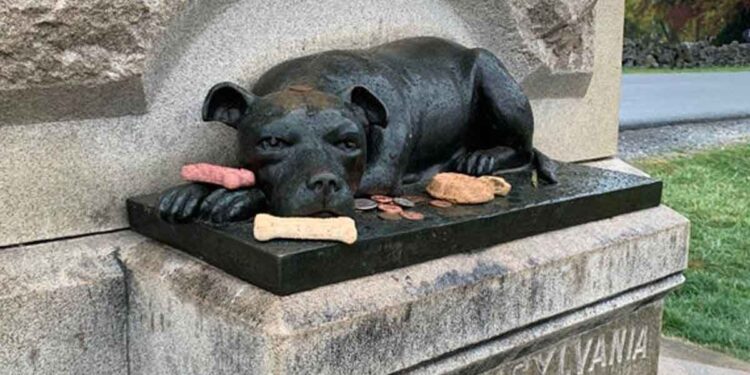 monument de ce chien héroïque Sallie Ann Jarrett