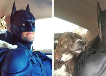 Ce Batman réel est en mission pour sauver les animaux sans-abri