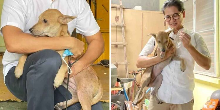 Un chien sauve une famille de cinq personnes en les réveillant pendant un incendie 1 Ce chien sauve une famille cinq feu maison