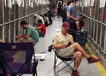 Des gens se présentent au refuge pour réconforter les chiens effrayés pendant les feux d'artifice