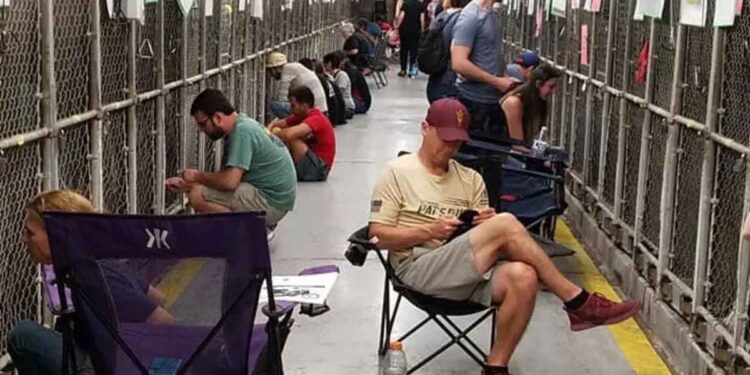 Des gens se présentent au refuge pour réconforter les chiens effrayés pendant les feux d'artifice 1 Des gens se présentent au refuge pour réconforter les chiens effrayés pendant les feux d'artifice