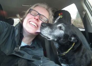 Femme cree premier hospice chiens seniors passent derniers jours