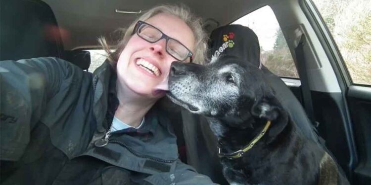 Femme cree premier hospice chiens seniors passent derniers jours