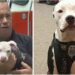 Un pompier a sauvé un chiot et a changé sa vie pour toujours 7 Un pompier a sauvé un chiot et a changé sa vie pour toujours