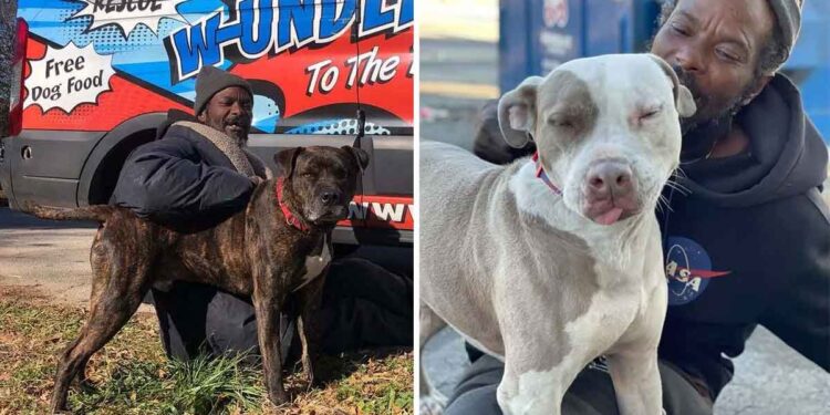Un sans-abri surnommé «l'ange gardien» après avoir sauvé 16 animaux
