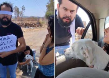 Une jeune femme se venge de son petit ami après avoir abandonné son chien